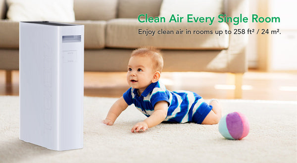 Air Purifier Now a Gadget You Must Have