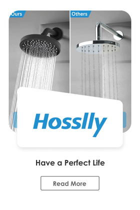 hosslly- have a perfect life