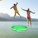 GAOMON Inflatable Cactus Pool Float Large Swimming Float