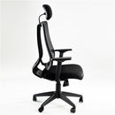 GAOMON Home Office Desk Chairs High Ergonomic Chair Black