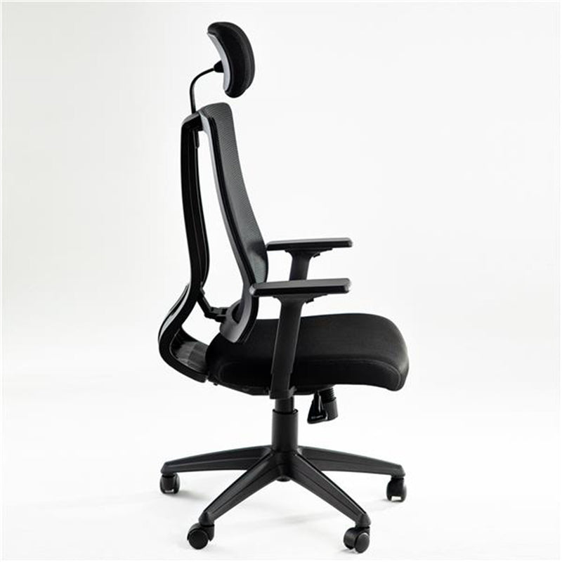 ALICIAN Home Office Desk Chairs High Ergonomic Chair Black