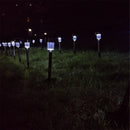 GAOMON 24pcs/set Garden Lawn Light Small Tube Lamp Solar White
