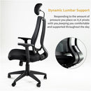 GAOMON Home Office Desk Chairs High Ergonomic Chair Black