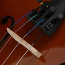 GAOMON Basswood 1/2 Acoustic Violin with Case Bow Rosin Inside Soft Box Natural Violin