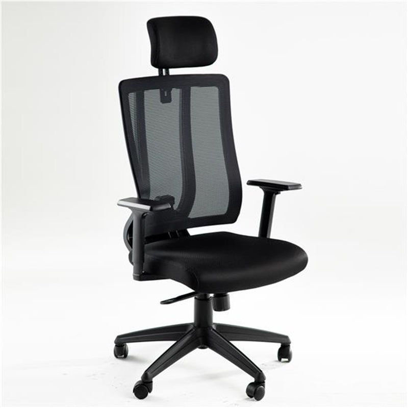 ALICIAN Home Office Desk Chairs High Ergonomic Chair Black