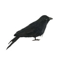 GAOMON 2pc Black Feathered Crow Extra Large Handmade Realistic Shape Birds For Halloween
