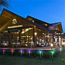 GAOMON 10pcs Solar Garden Lights LED Pathway Landscape Lighting