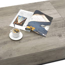 GAOMON Lift Top Coffee Table with Hidden Storage - Grey
