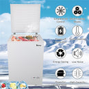 ZOKOP BD-100 100L Single Door Horizontal Freezer AC115V 60Hz Freezing Refrigerator White